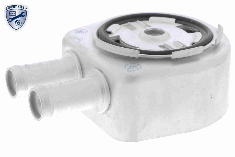 VEMO Ölkühler, Motoröl EXPERT KITS + V25-60-0034