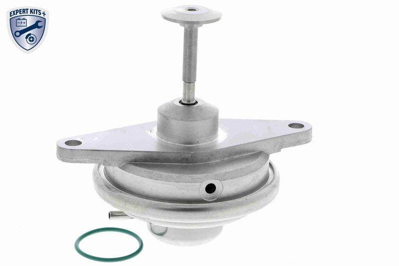 VEMO AGR-Ventil EXPERT KITS + V40-63-0019