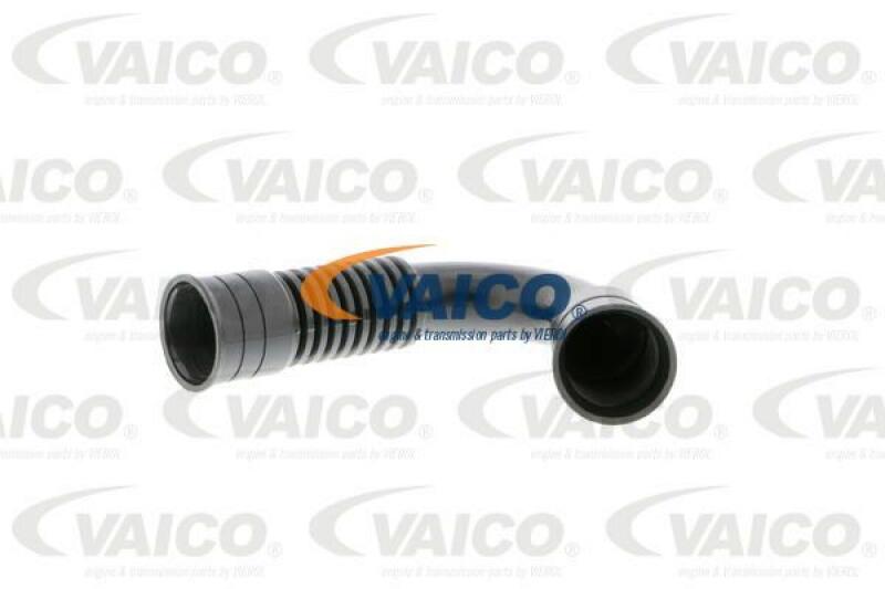 VAICO Schlauch, Zylinderkopfhaubenentlüftung Original VAICO Qualität