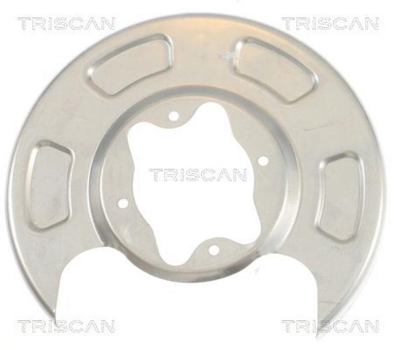TRISCAN Splash Panel, brake disc