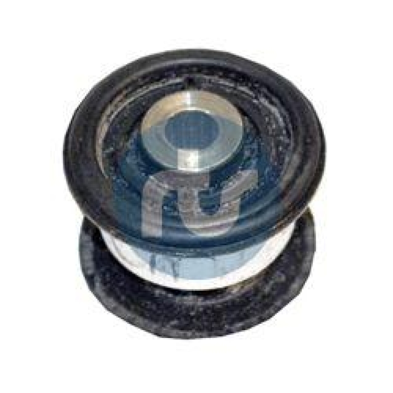 RTS Mounting, control/trailing arm