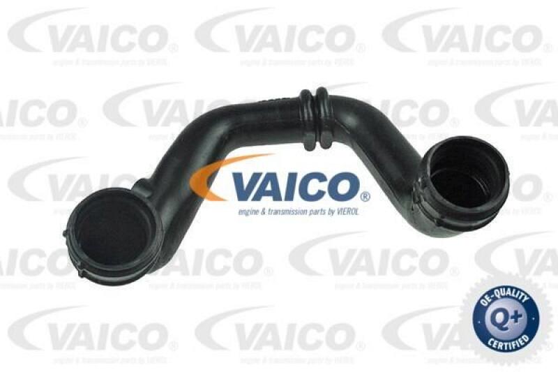 VAICO Charger Air Hose Q+, original equipment manufacturer quality