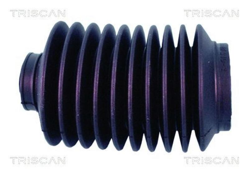TRISCAN Bellow Set, steering