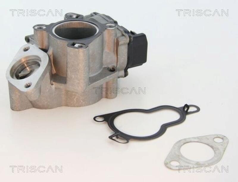 TRISCAN AGR-Ventil 8813 25203