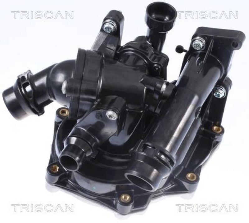 TRISCAN Water Pump