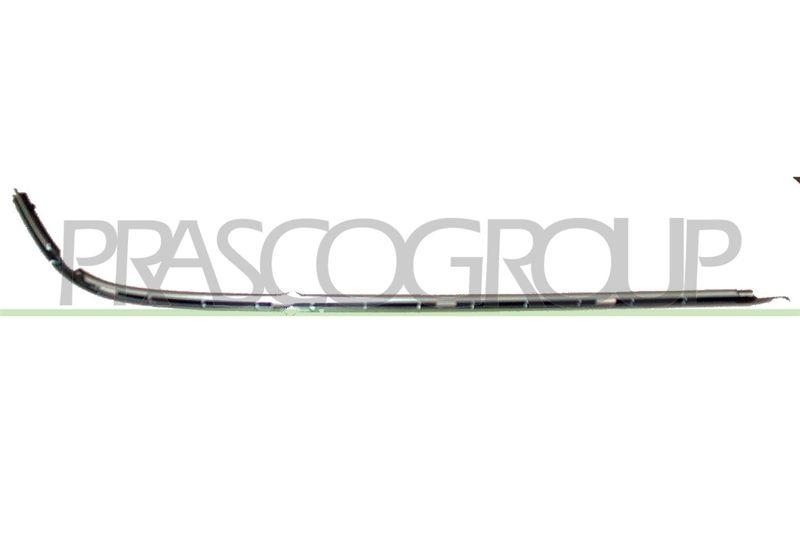 Trim/Protective Strip, bumper