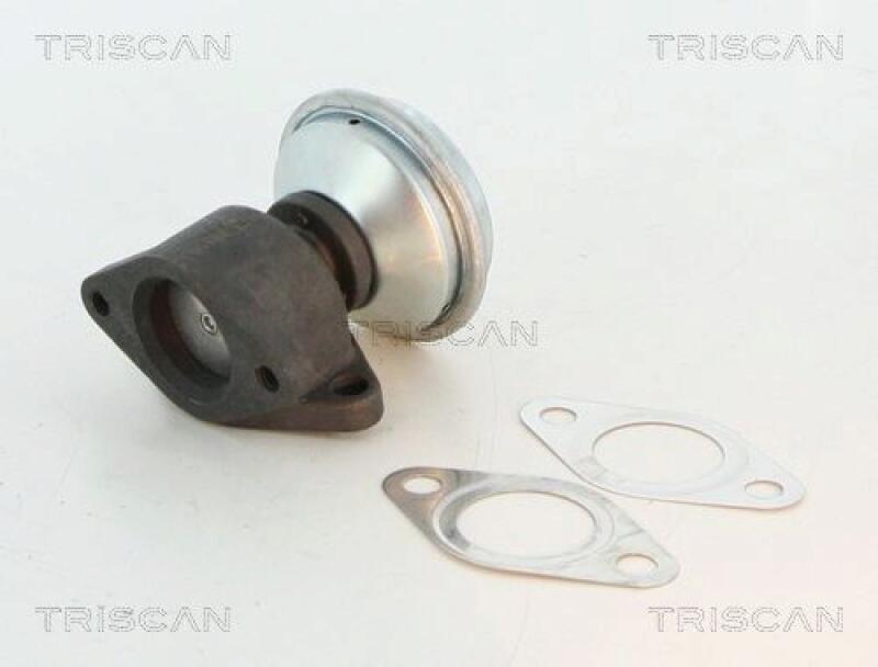 TRISCAN EGR Valve