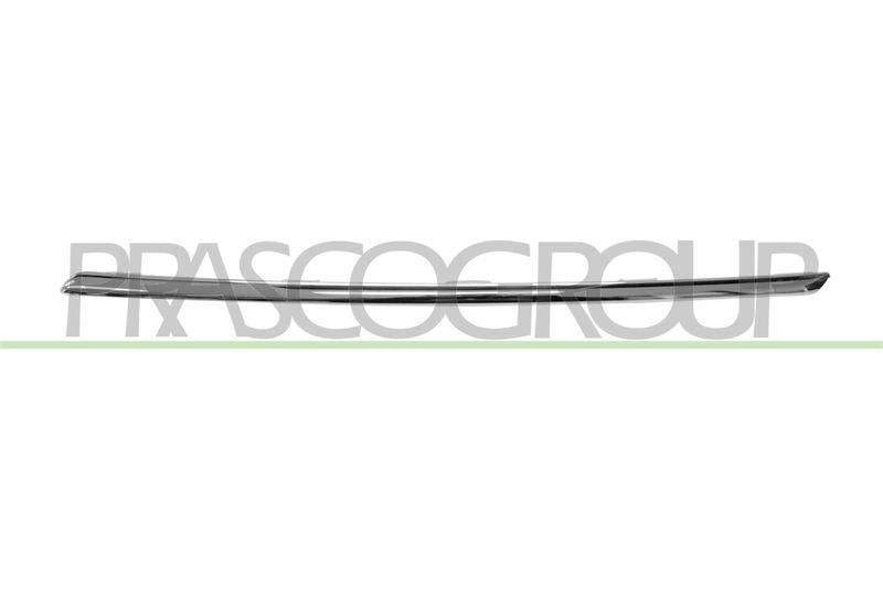 Radiator Grille