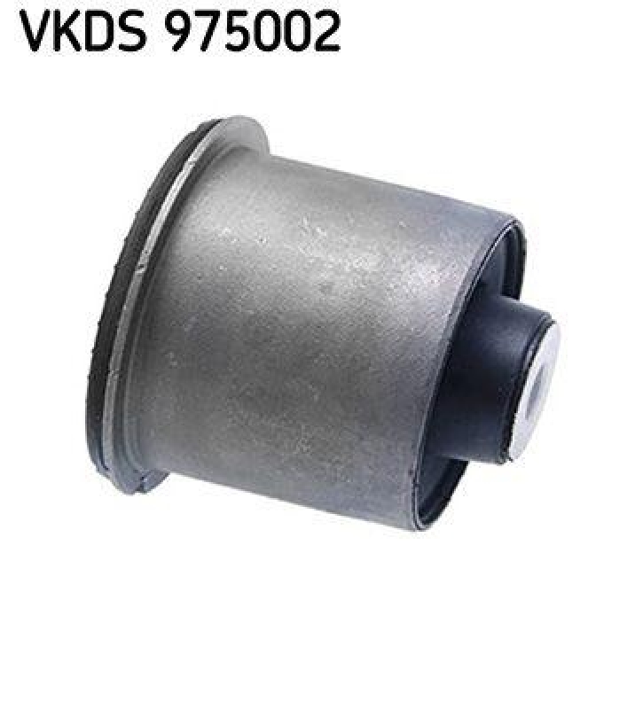 SKF Achskörper