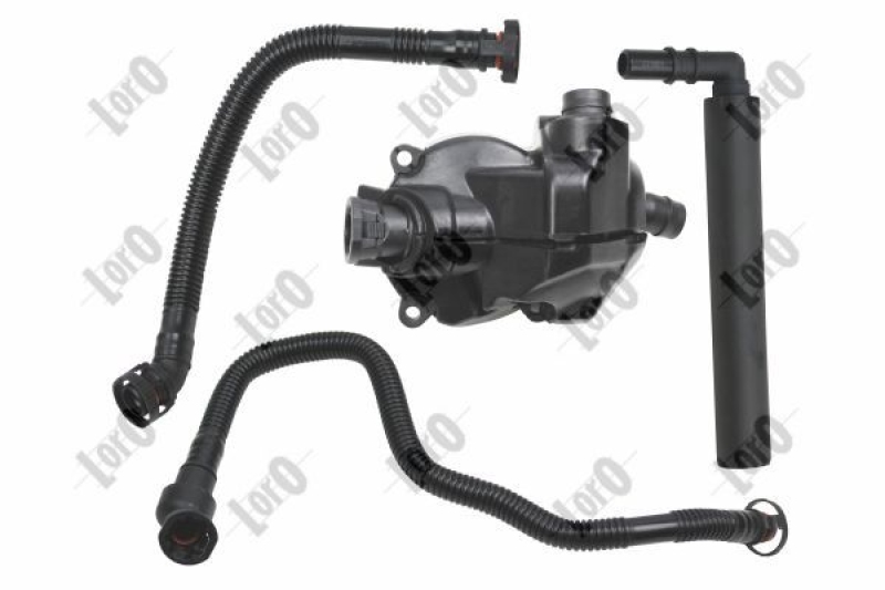 Hose, crankcase ventilation