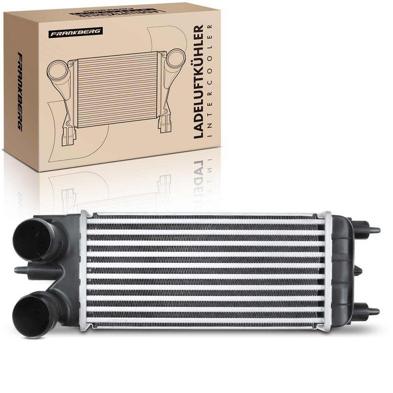 1x Frankberg Ladeluftk&uuml;hler Turbok&uuml;hler 5481FB0015695