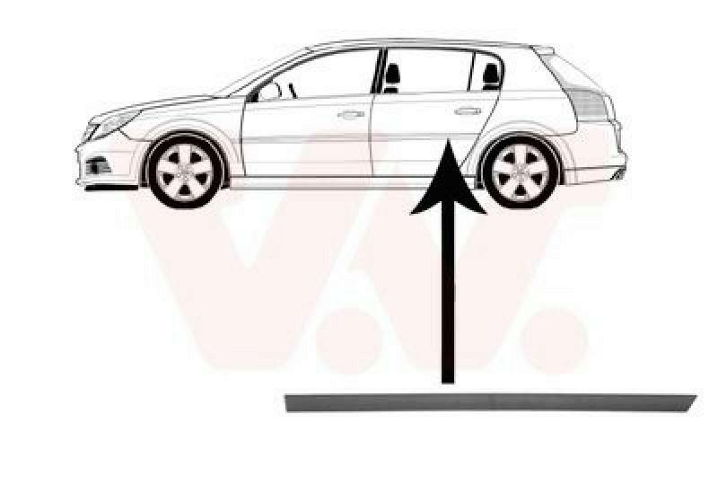 VAN WEZEL Trim/Protective Strip, door