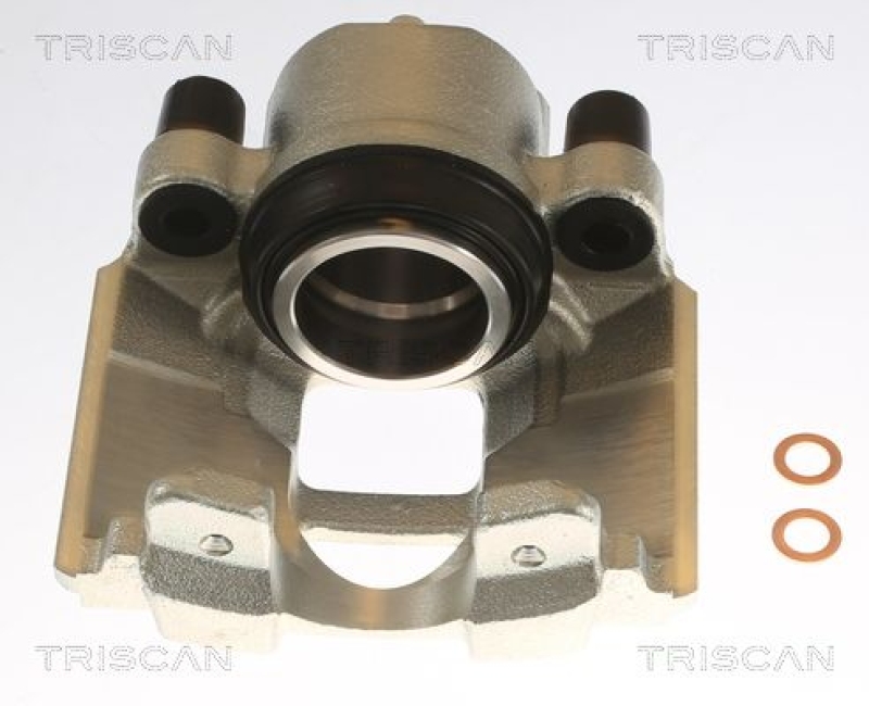 TRISCAN Bremssattel