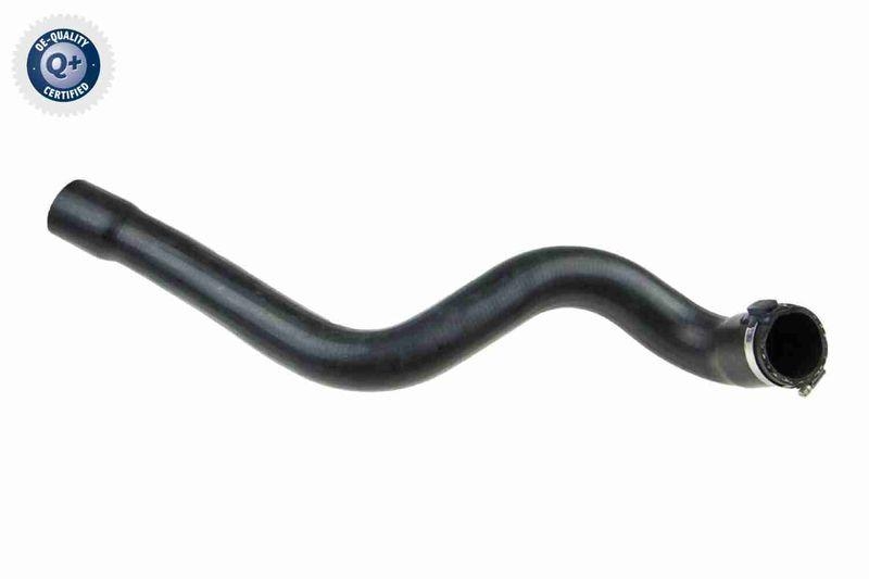 VAICO Charger Air Hose Q+, original equipment manufacturer quality