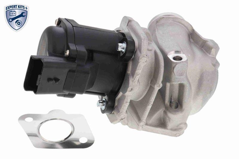VEMO EGR Valve EXPERT KITS +