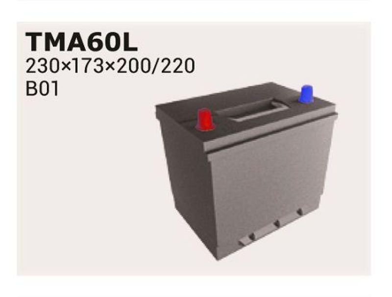IPSA Starterbatterie MAGIC ASIA