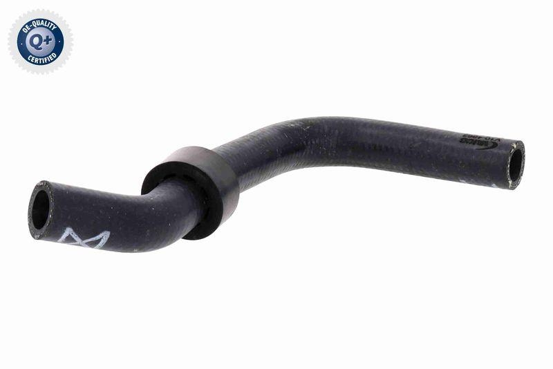 Radiator Hose Q+, original equipment manufacturer quality