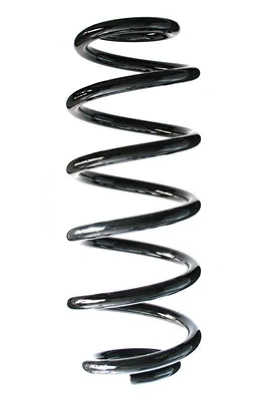 SPIDAN Suspension Spring