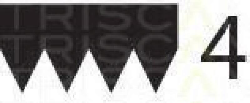 TRISCAN Keilrippenriemen 8640 400845