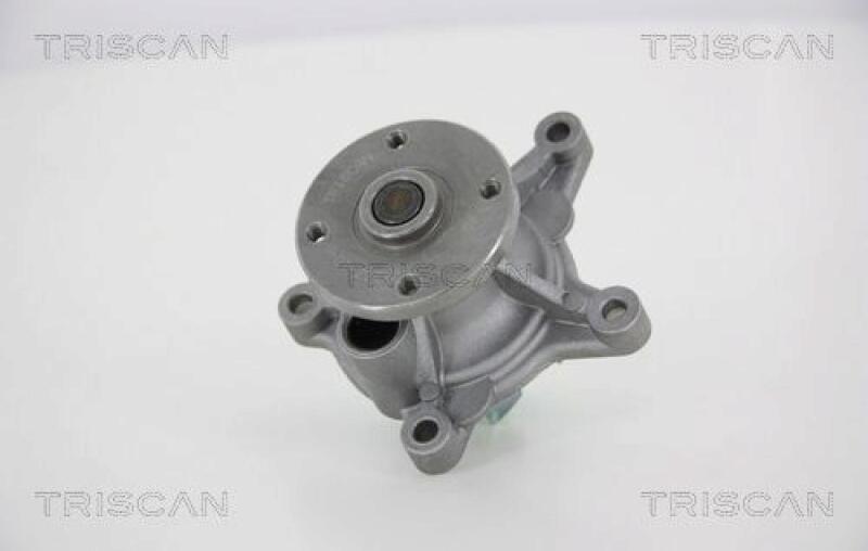 TRISCAN Water Pump