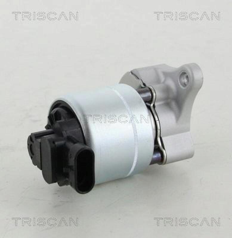 TRISCAN AGR-Ventil 8813 28008