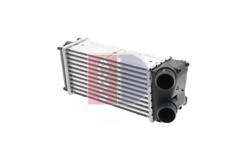 AKS DASIS Intercooler, charger