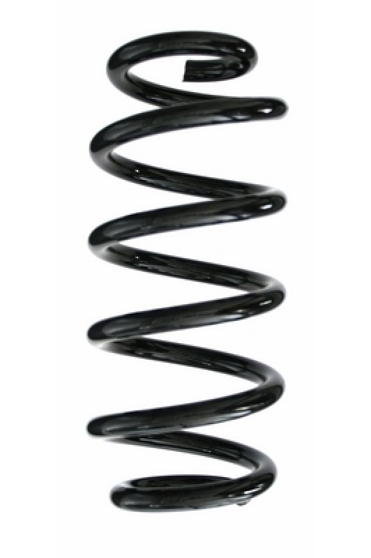 SPIDAN Suspension Spring