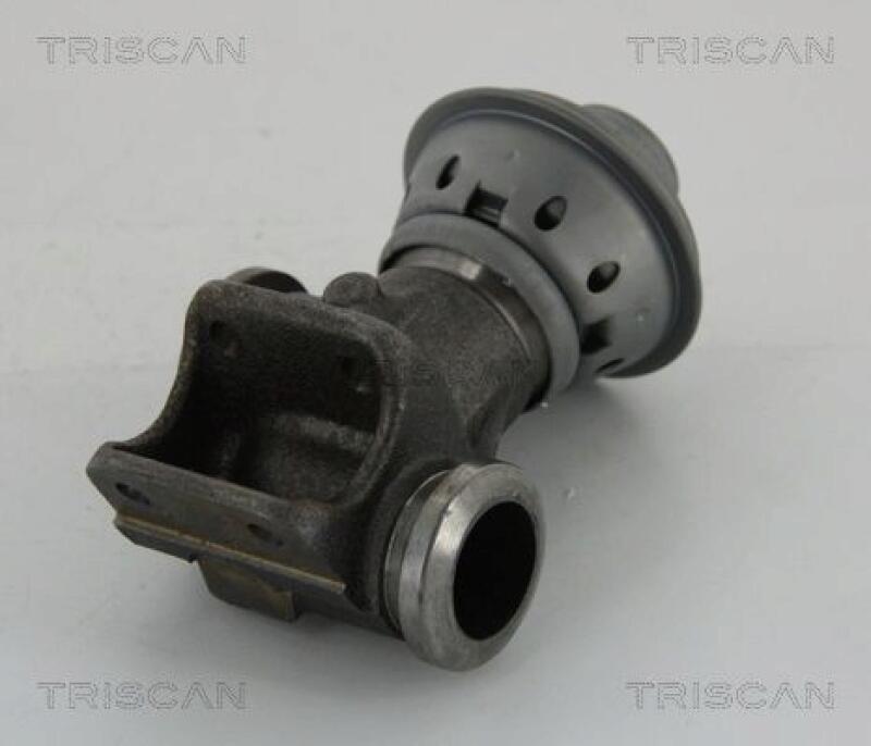 TRISCAN AGR-Ventil 8813 28013