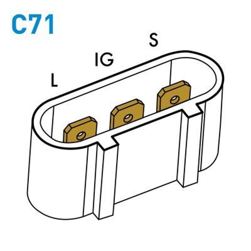 CEVAM Generator