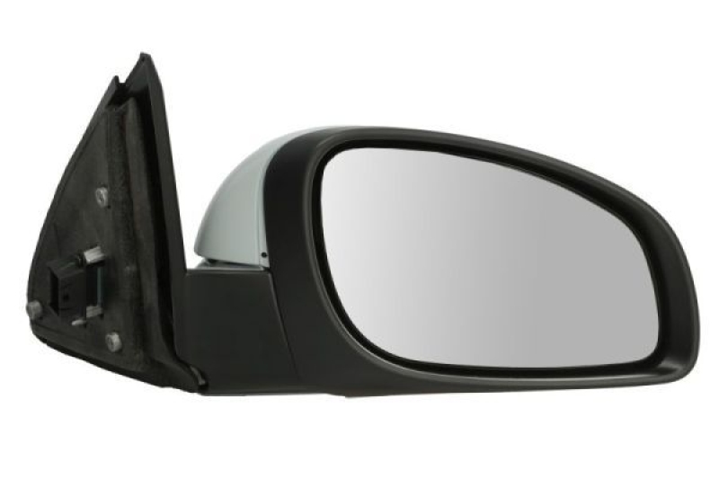 BLIC Exterior Mirror