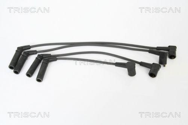 TRISCAN Z&uuml;ndleitungssatz 8860 16008