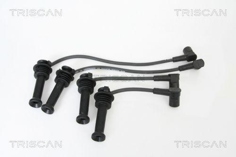 TRISCAN Z&uuml;ndleitungssatz