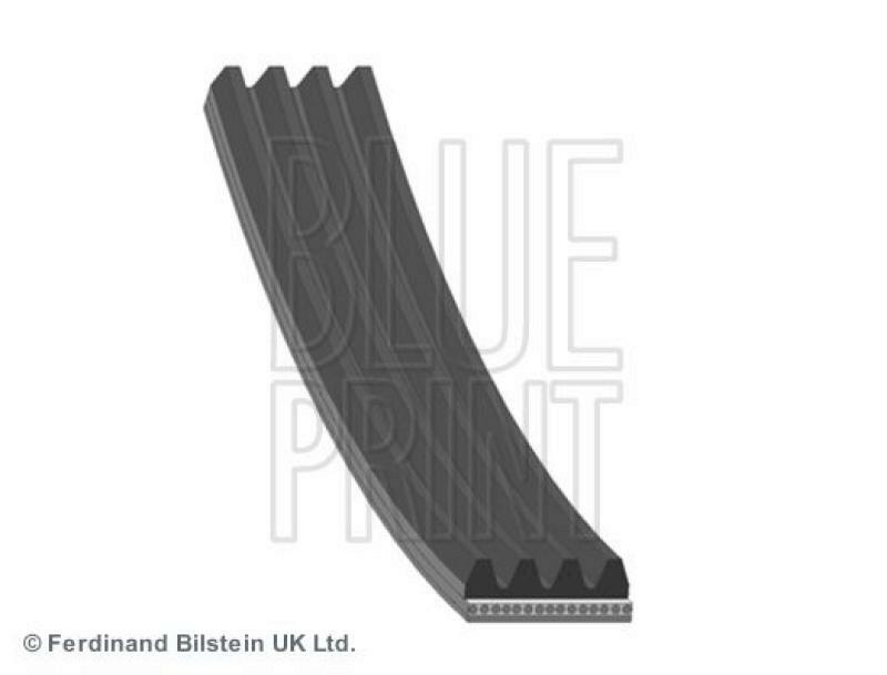 BLUE PRINT V-Ribbed Belts