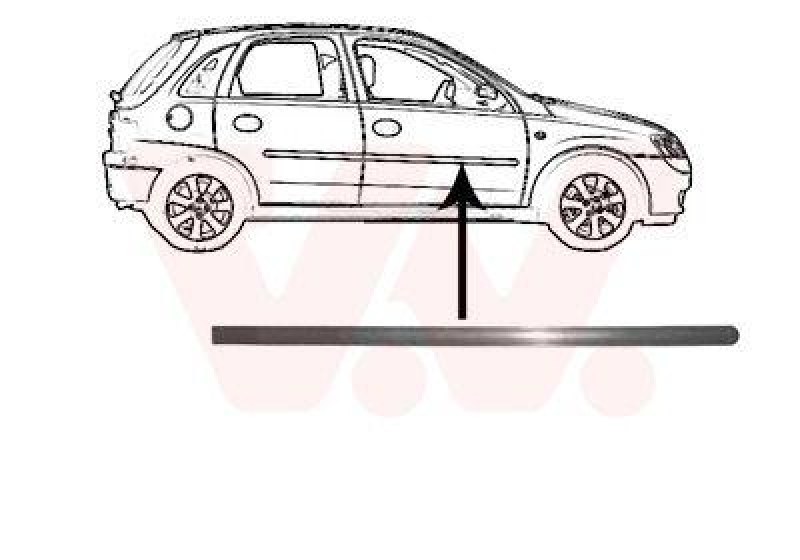 VAN WEZEL Trim/Protective Strip, door