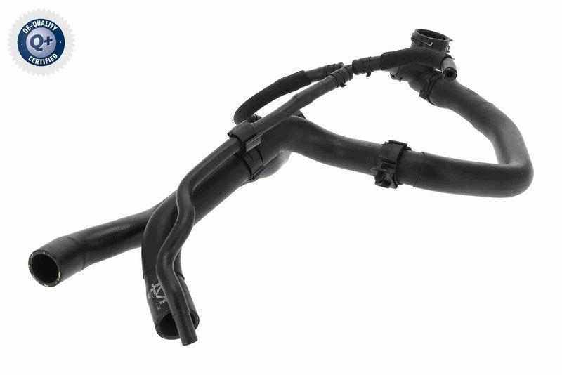 Radiator Hose Q+, original equipment manufacturer quality