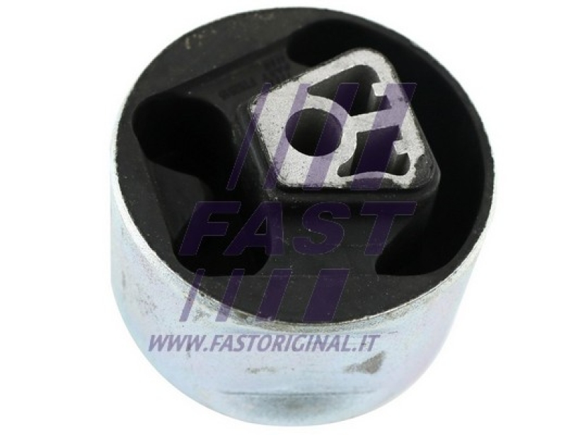 FAST Lagerung, Motor FT52515