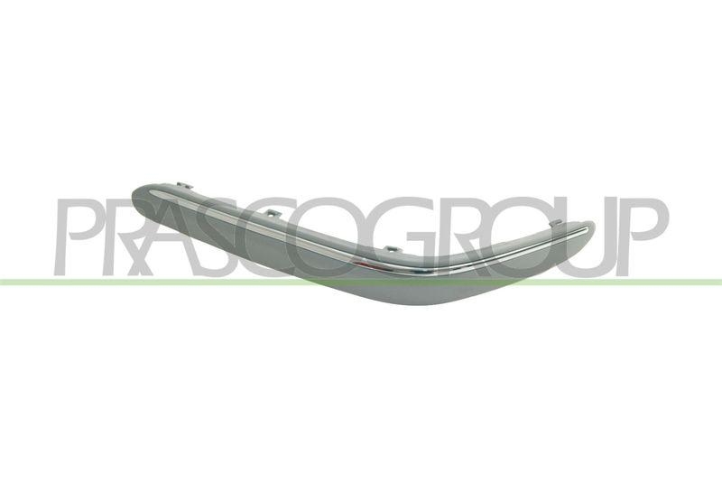 Trim/Protective Strip, bumper