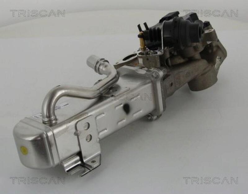 TRISCAN EGR Valve