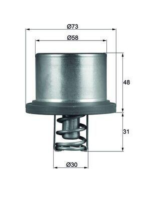 MAHLE Thermostat, coolant