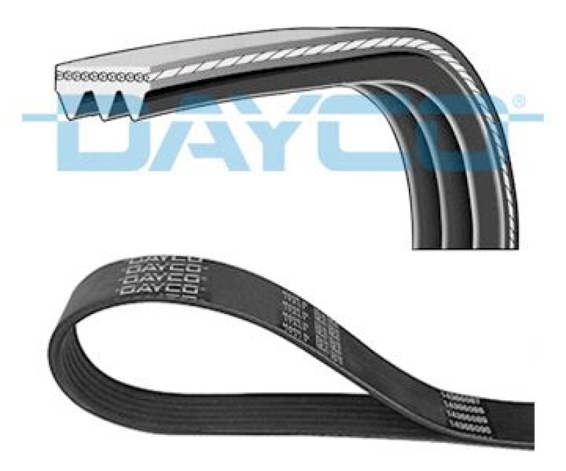 DAYCO V-Ribbed Belt