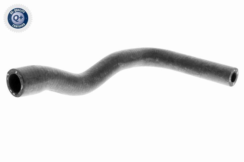 VAICO K&uuml;hlerschlauch Q+, Erstausr&uuml;sterqualit&auml;t V20-1240