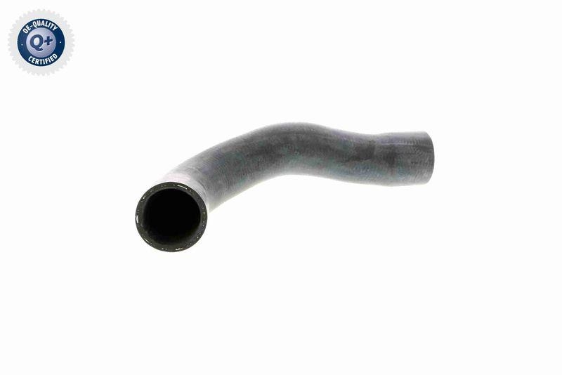 VAICO K&uuml;hlerschlauch Q+, Erstausr&uuml;sterqualit&auml;t V20-1241