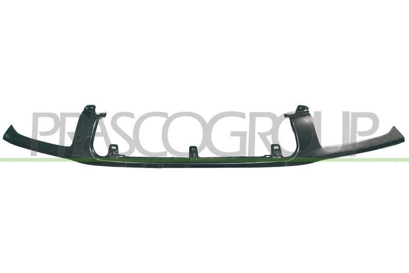 Cover, radiator grille
