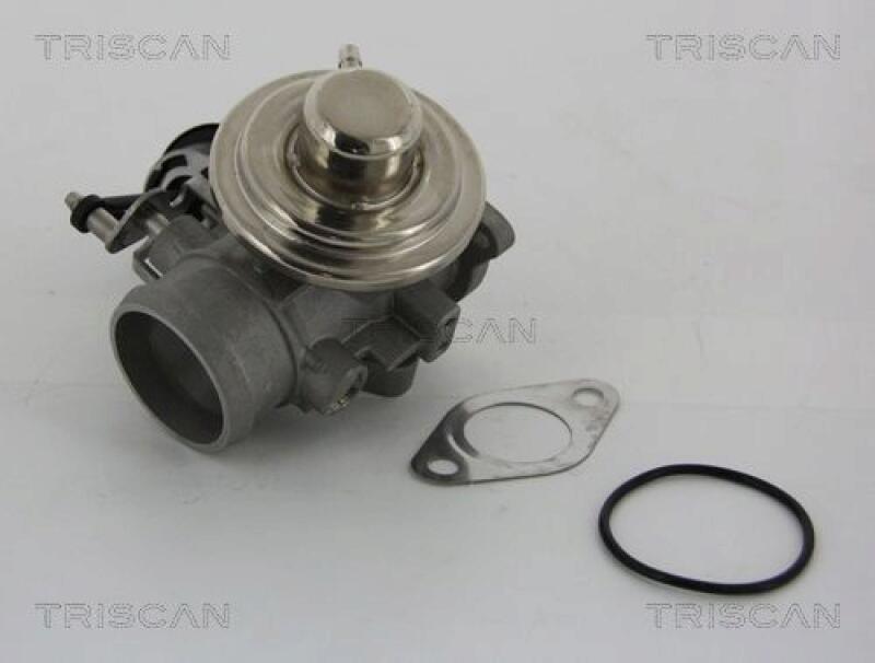 TRISCAN AGR-Ventil 8813 29001