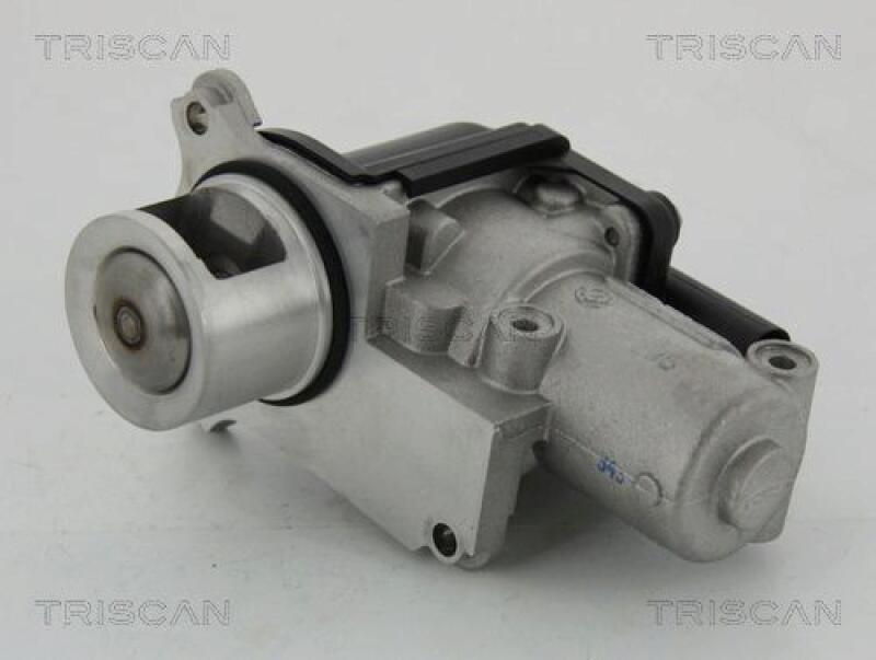 TRISCAN EGR Valve