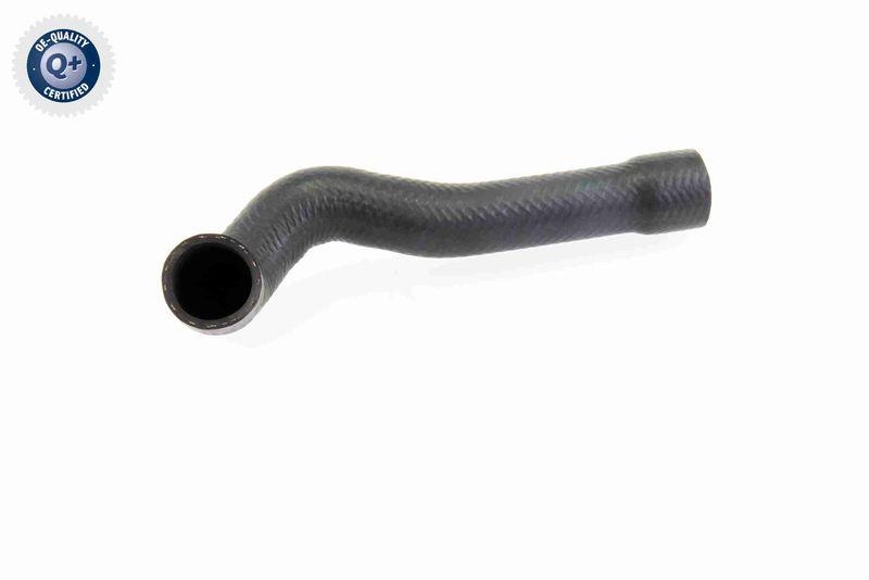 VAICO Radiator Hose Q+, original equipment manufacturer quality