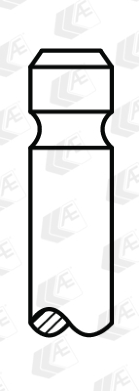 AE Intake Valve