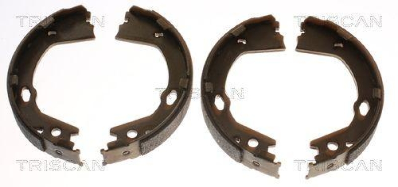 TRISCAN Brake Shoe Set, parking brake