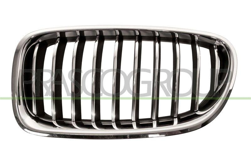 Radiator Grille