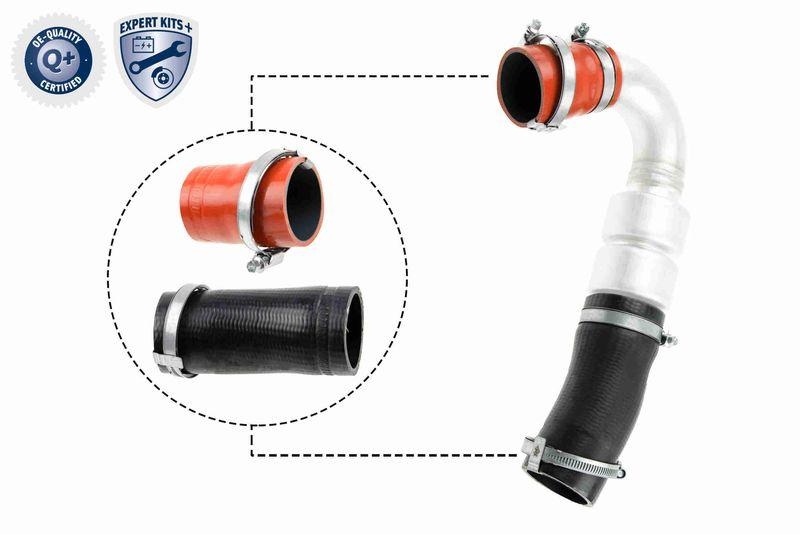 VAICO Charger Air Hose EXPERT KITS +